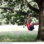 Climbing trees and being a girl...